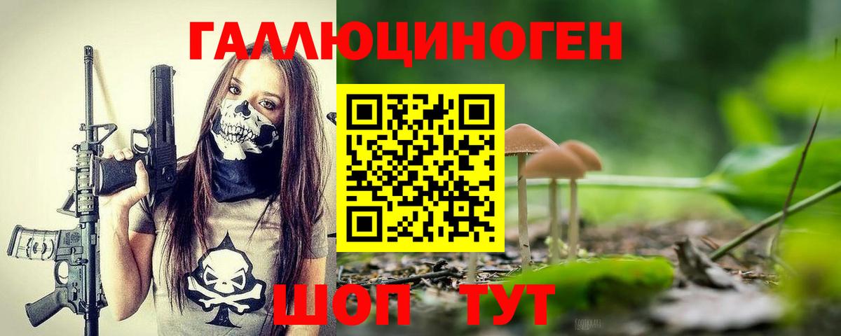 Черногорск  Галлюциногенные грибы Psilocybe  Вход с VPN 
