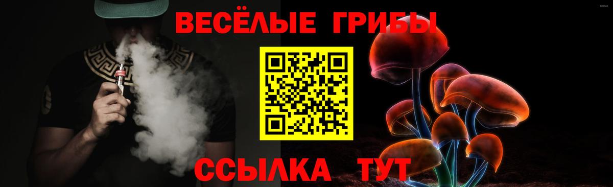 Псилоцибиновые грибы мухоморы Черногорск